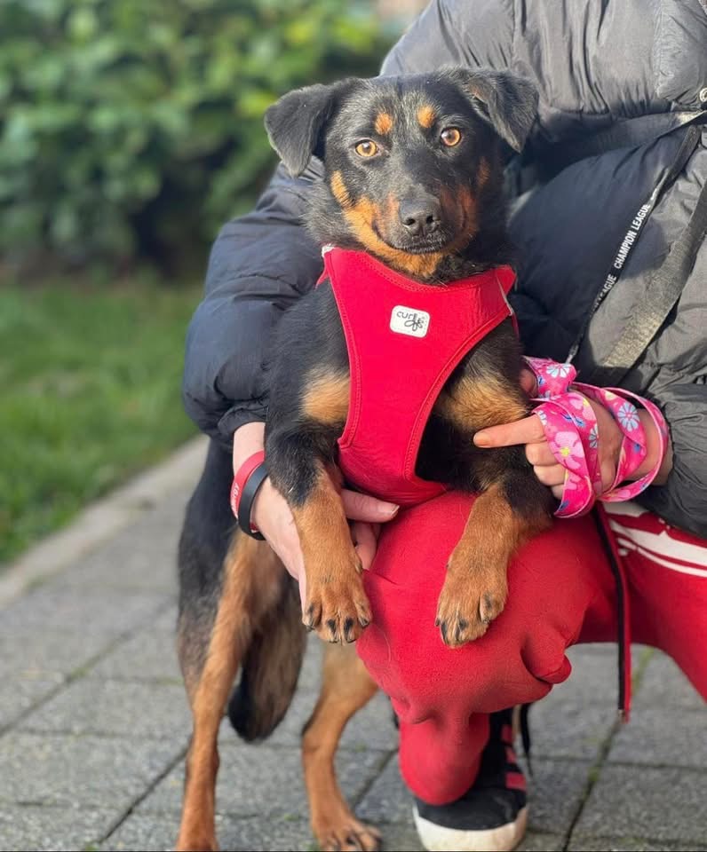 RITA – Bild 4