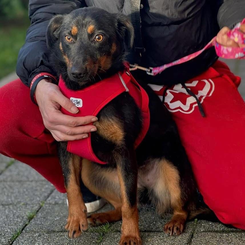 RITA – Bild 5