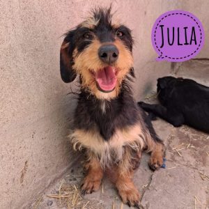 JULIA
