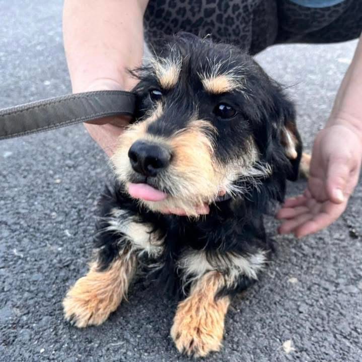 PEPY – Bild 6