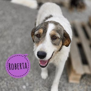 ROBERTA