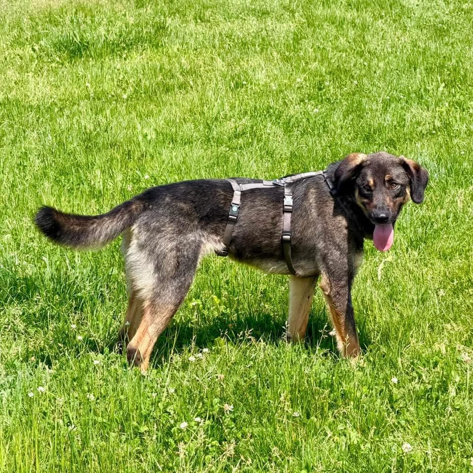 SHANI – Bild 4