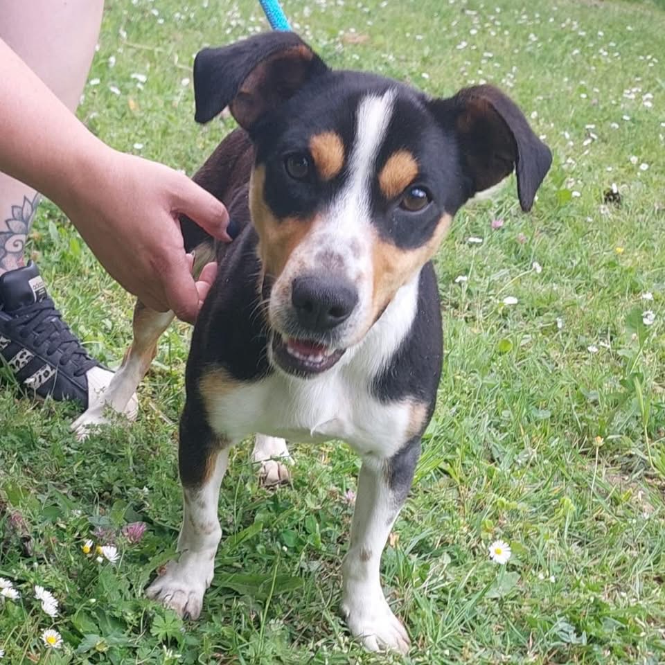 BIGGI – Bild 4