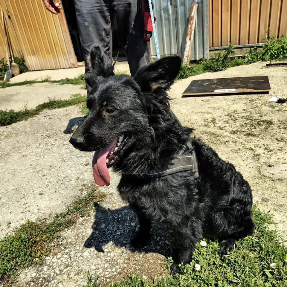 ZUKO – Bild 2