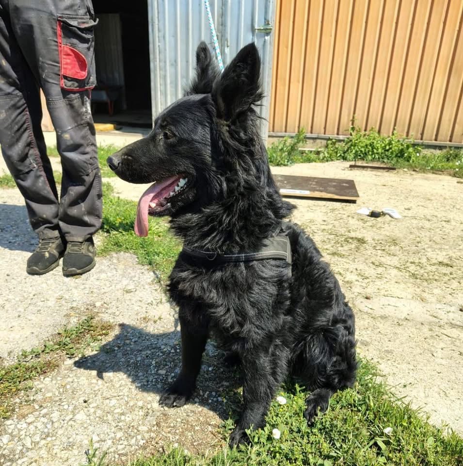 ZUKO – Bild 3