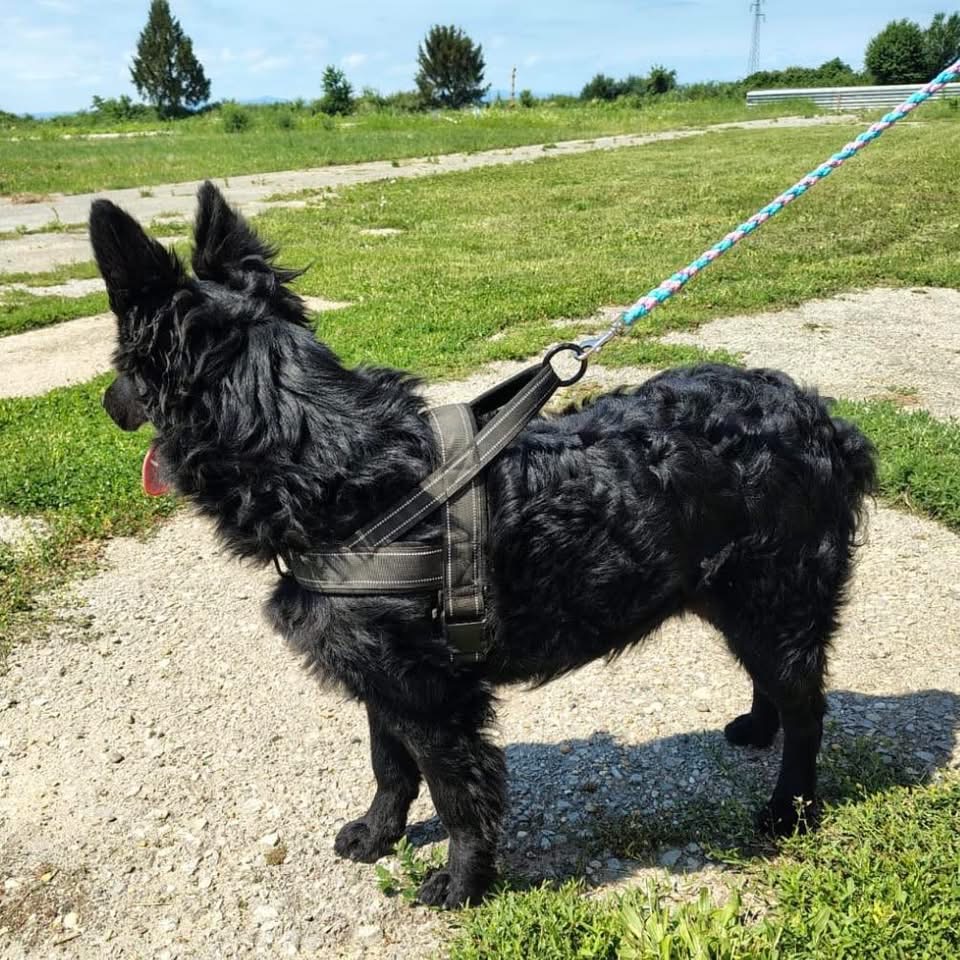 ZUKO – Bild 4