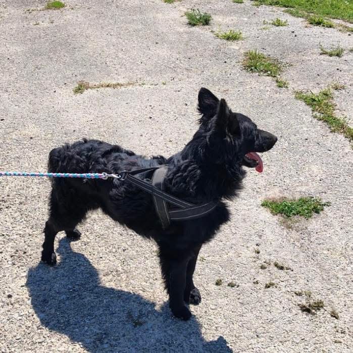 ZUKO – Bild 5