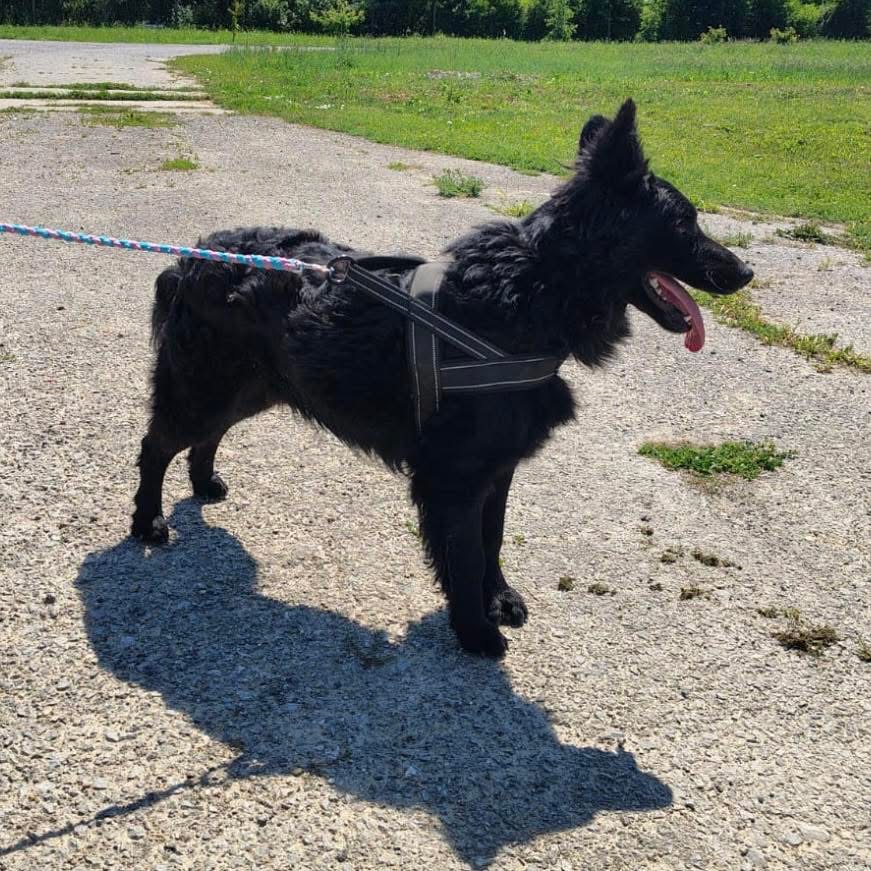 ZUKO – Bild 6