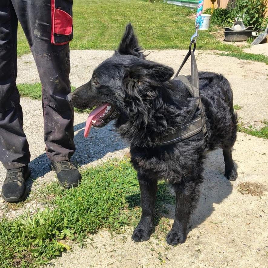 ZUKO – Bild 7