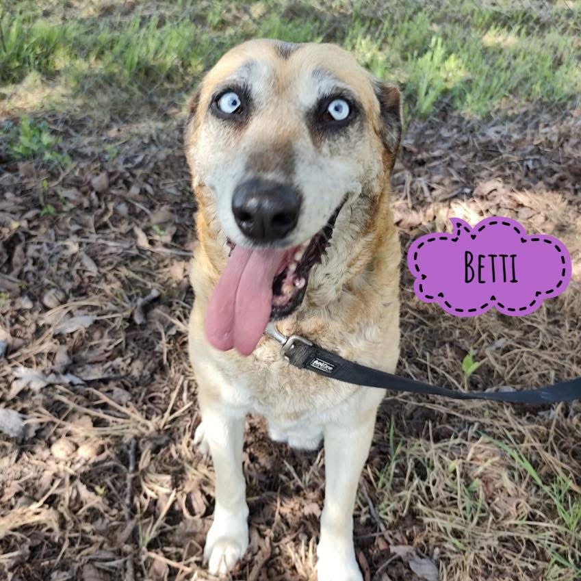 BETTI