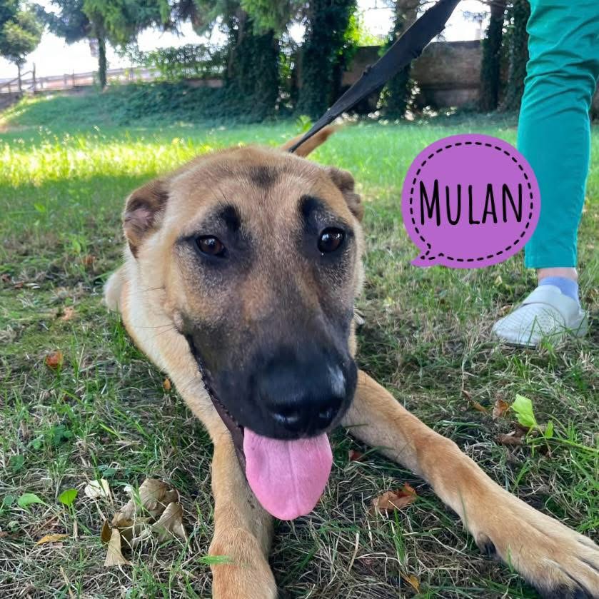MULAN