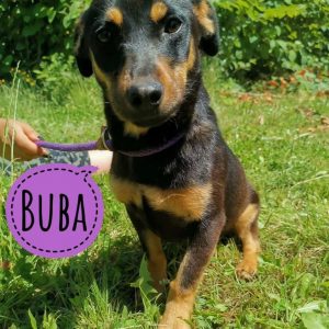 BUBA