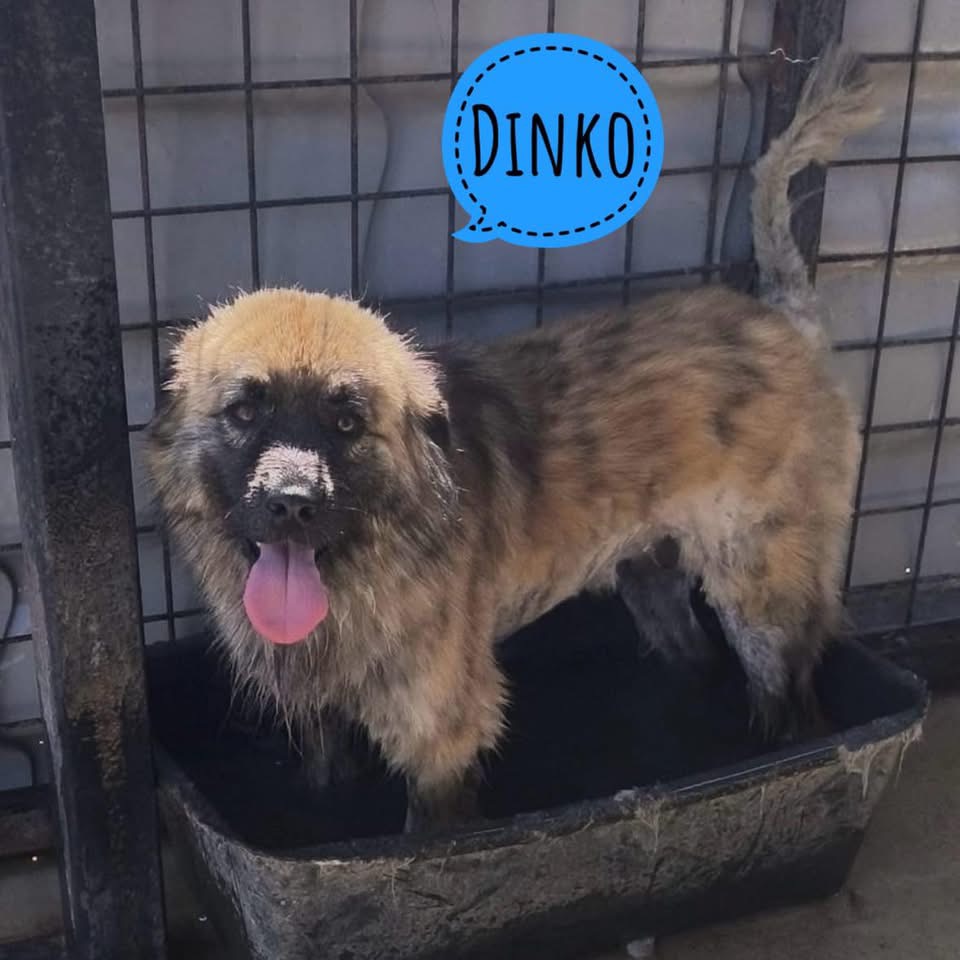 DINKO