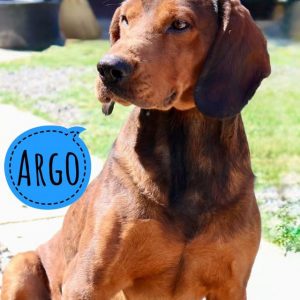 ARGO
