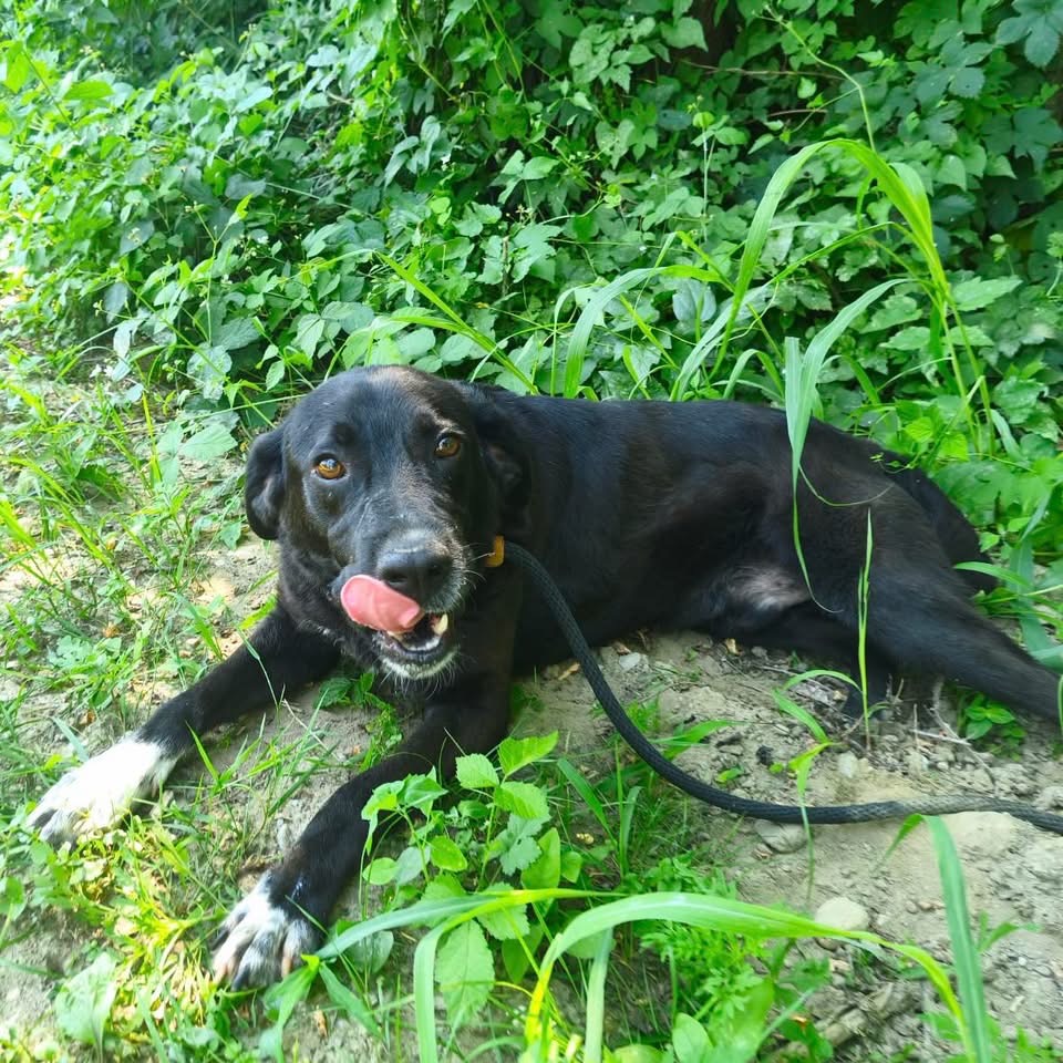 DIESEL – Bild 6