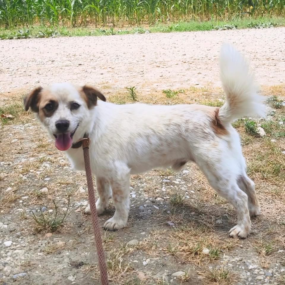 ALFIE – Bild 2