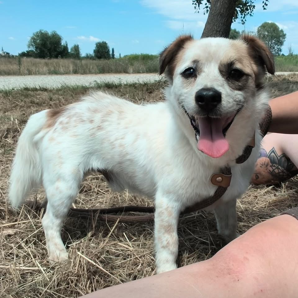 ALFIE – Bild 3