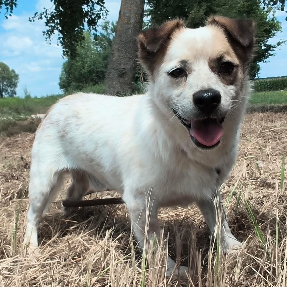 ALFIE – Bild 4