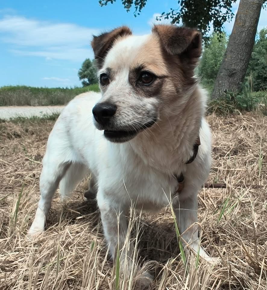 ALFIE – Bild 5
