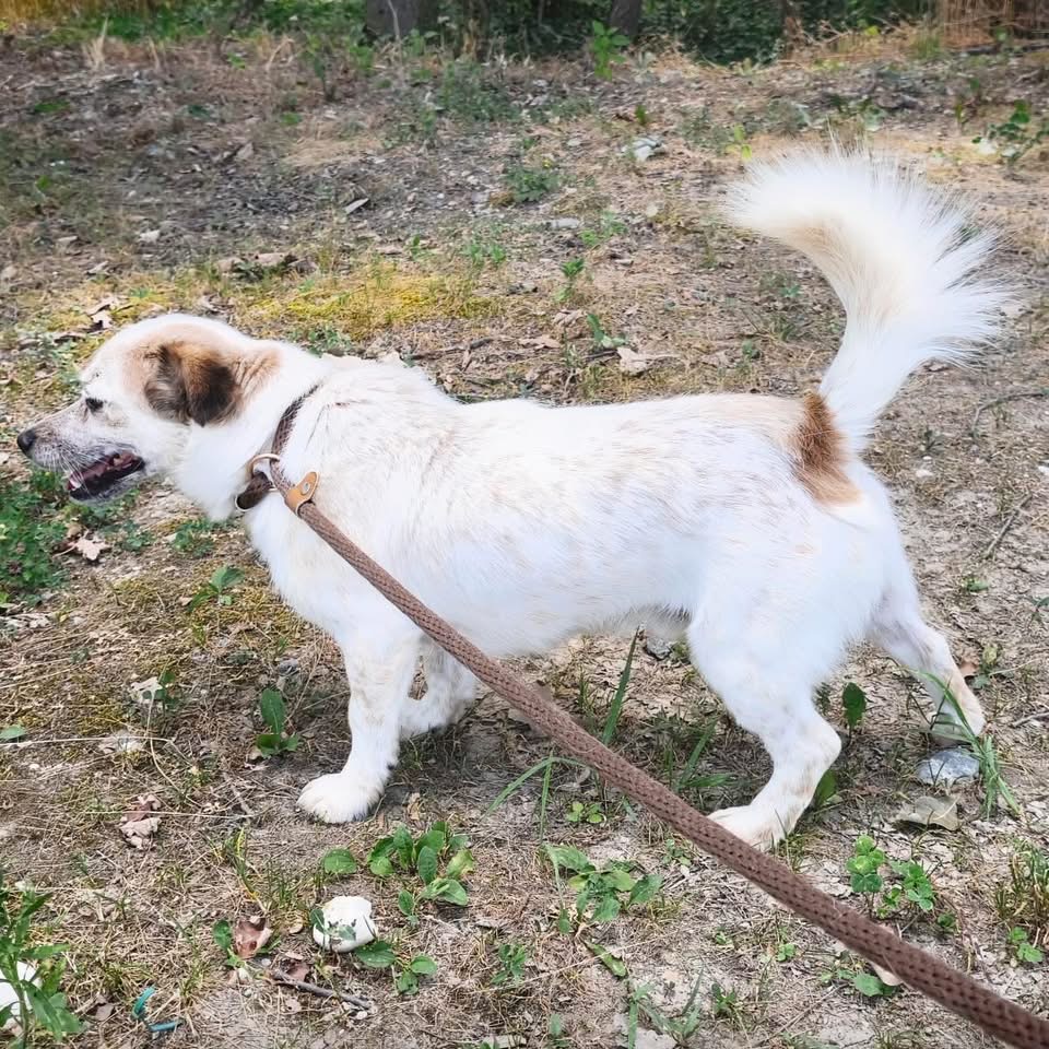 ALFIE – Bild 6