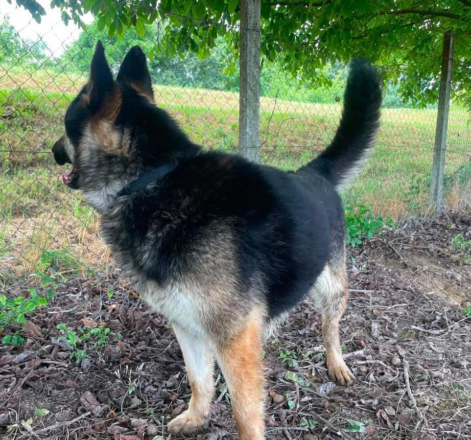 ASTOR – Bild 4