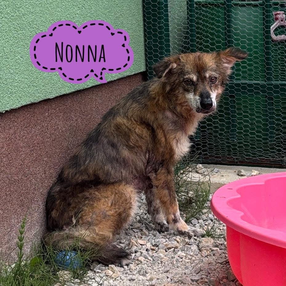 NONNA