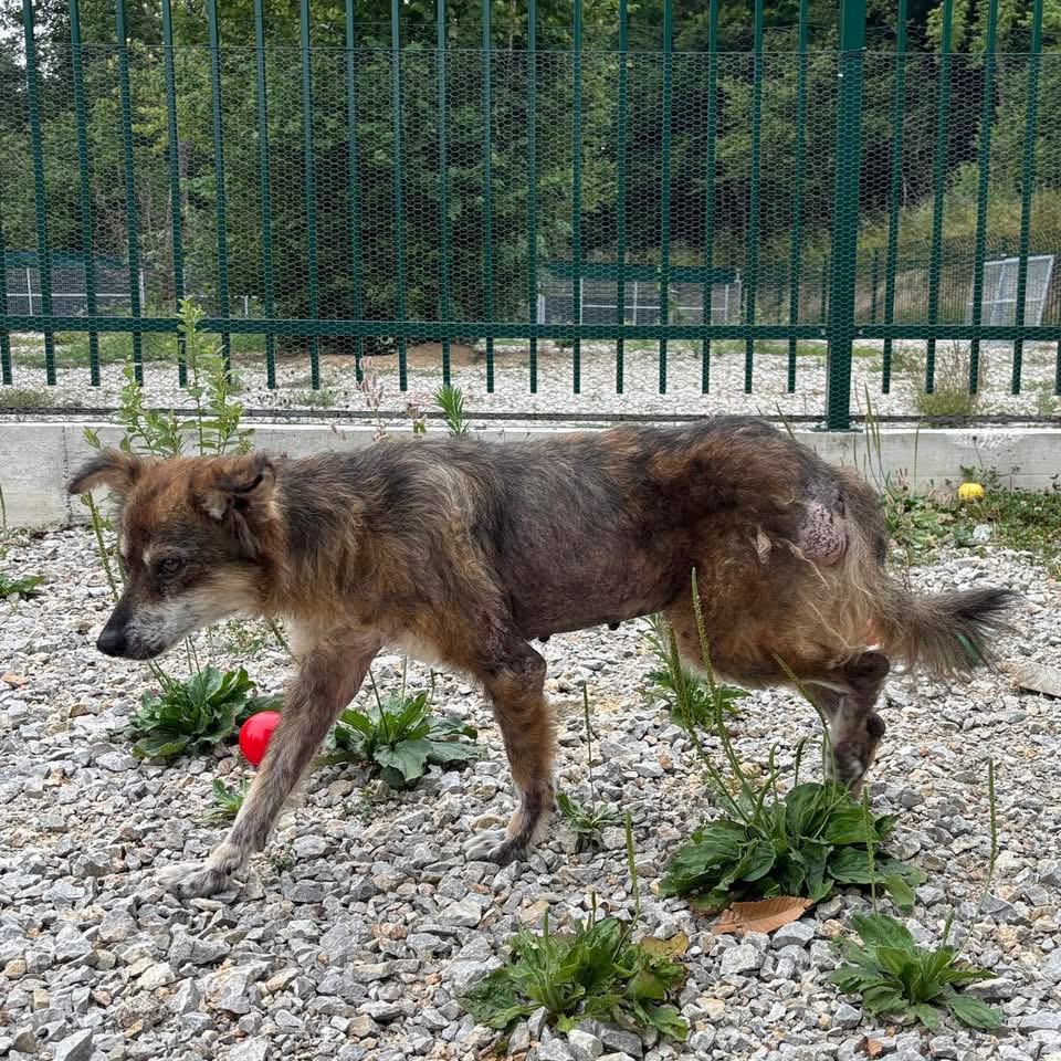 NONNA – Bild 4
