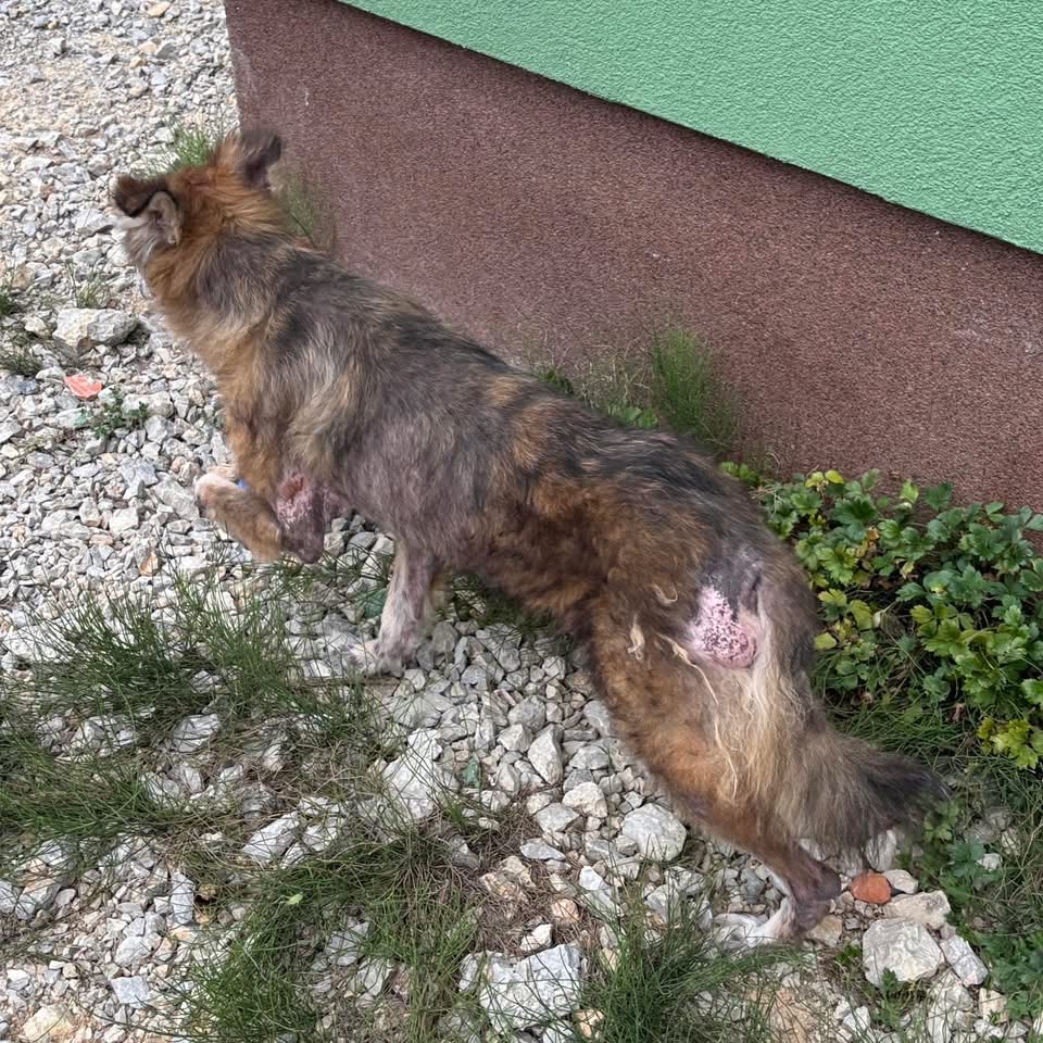 NONNA – Bild 5