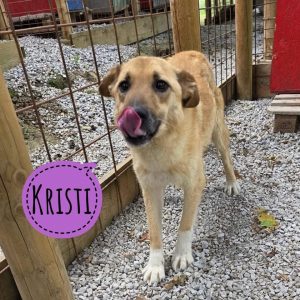 KRISTI