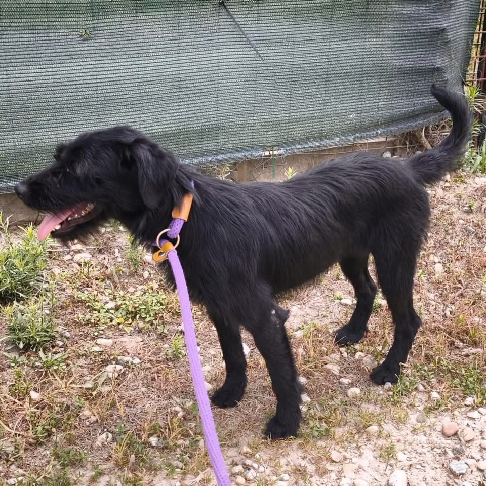 POLLY – Bild 3