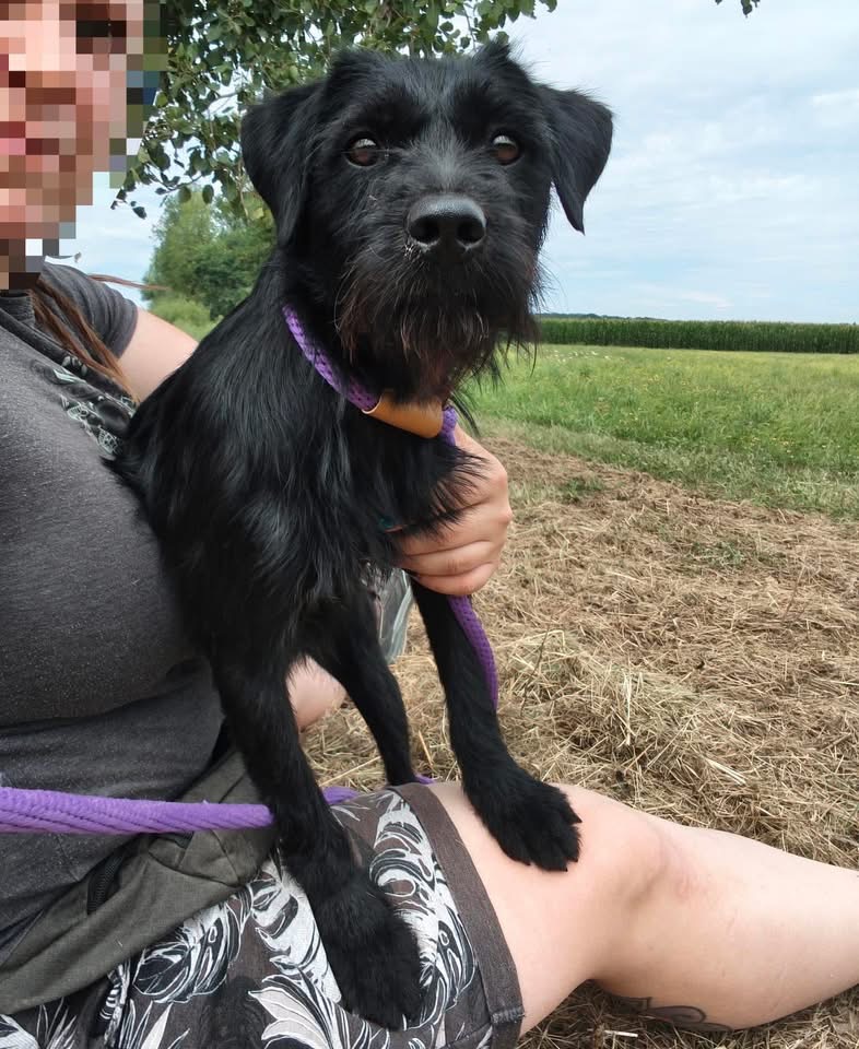 POLLY – Bild 5