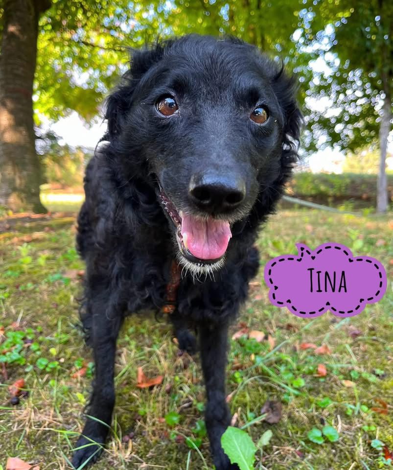TINA