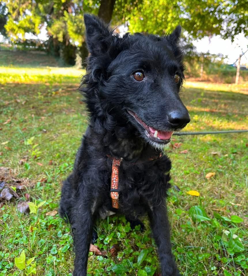 TINA – Bild 3