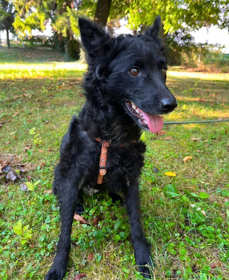 TINA – Bild 5