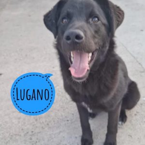 LUGANO