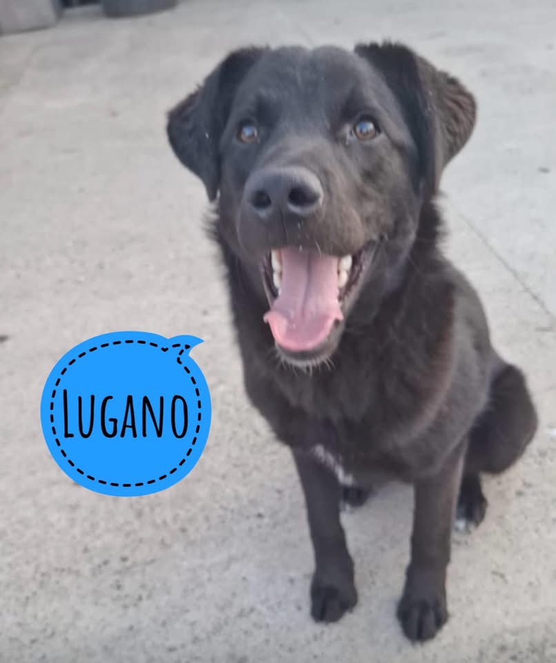 LUGANO