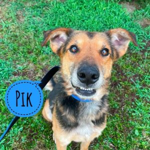 PIK