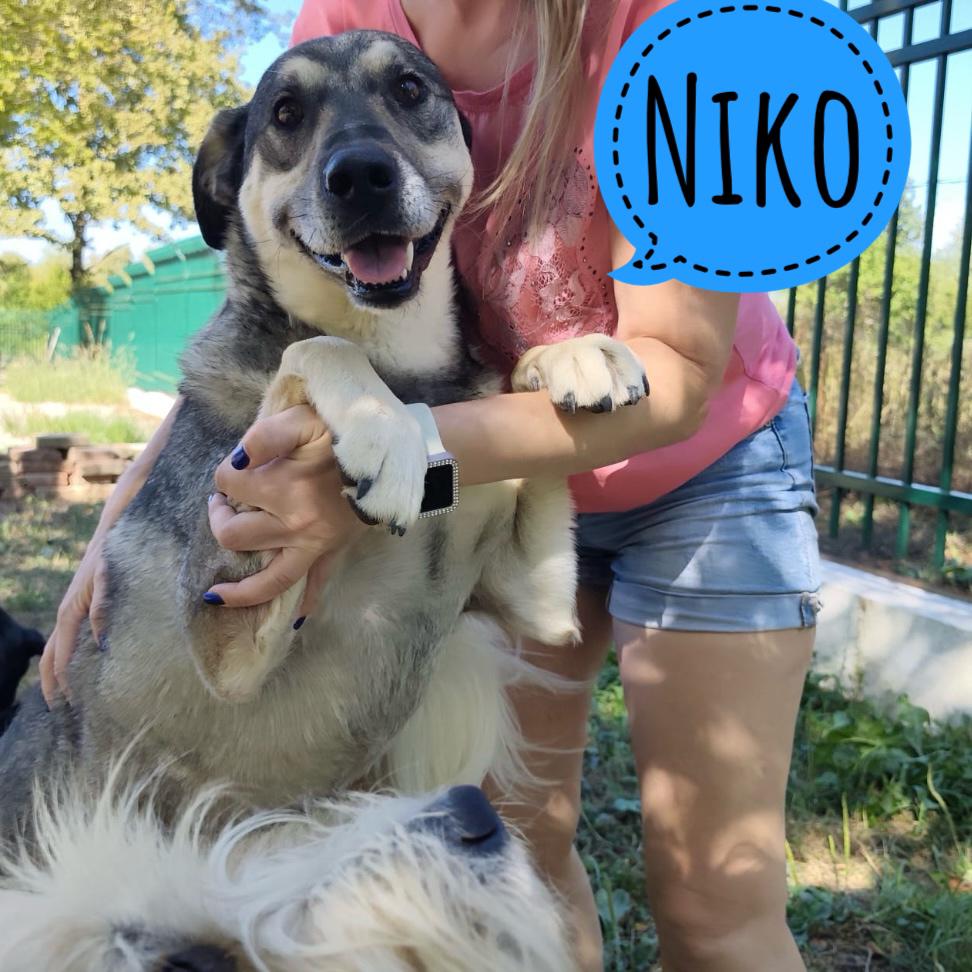 NIKO