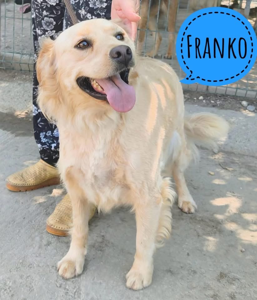 FRANKO