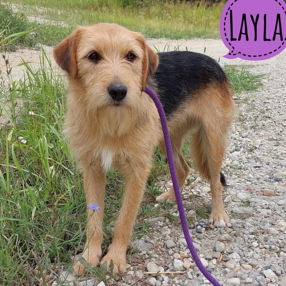 LAYLA