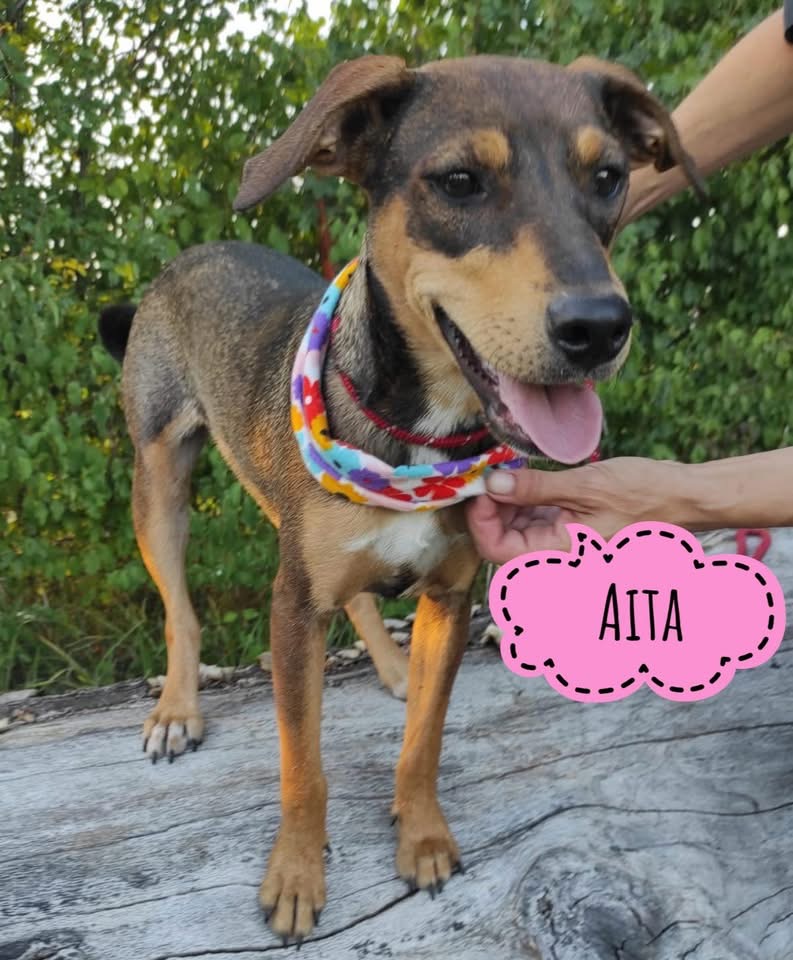 AITA