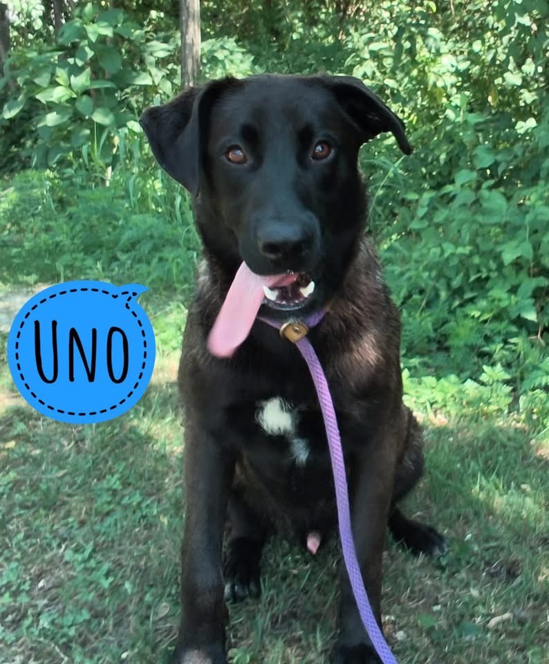 UNO