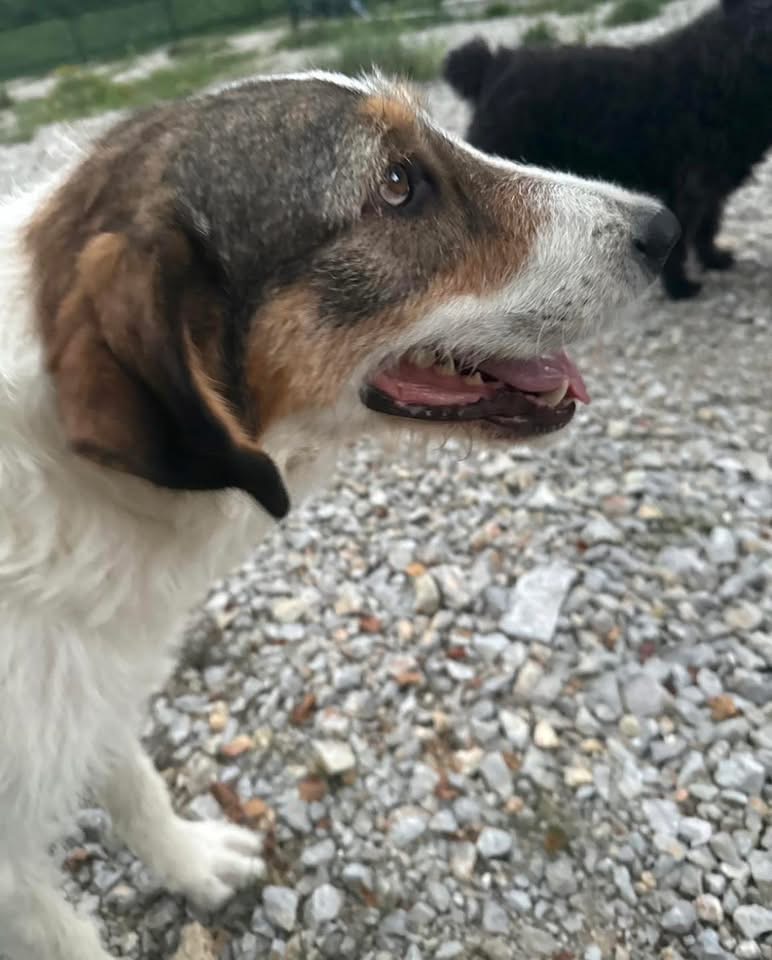 ROBERTA – Bild 5