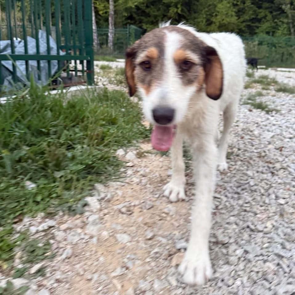 ROBERTA – Bild 6