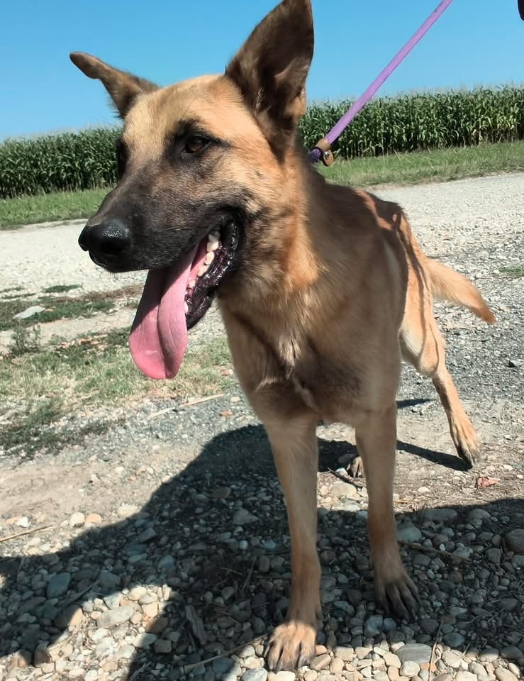 EDDIE – Bild 3
