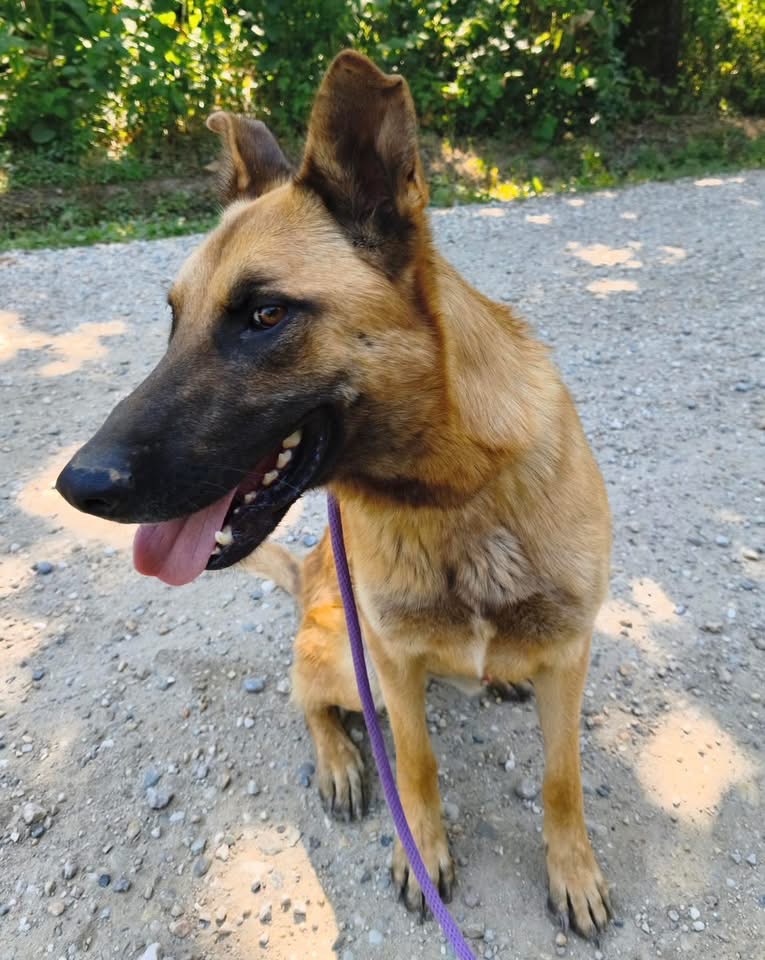 EDDIE – Bild 4
