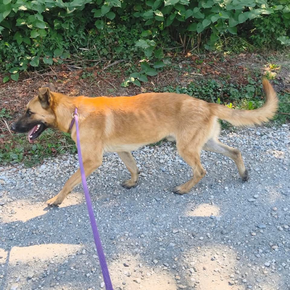 EDDIE – Bild 6