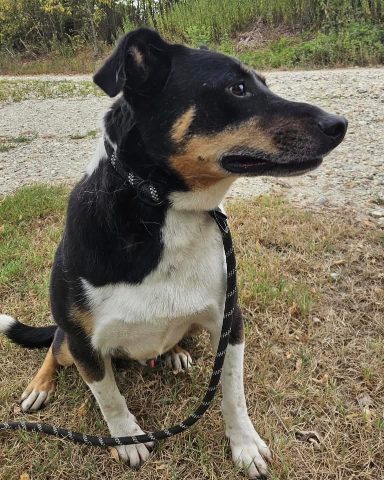 OZZI – Bild 4
