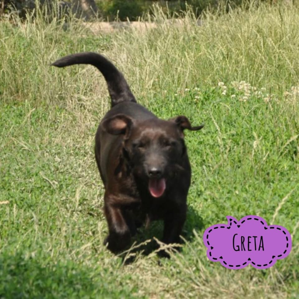 GRETA