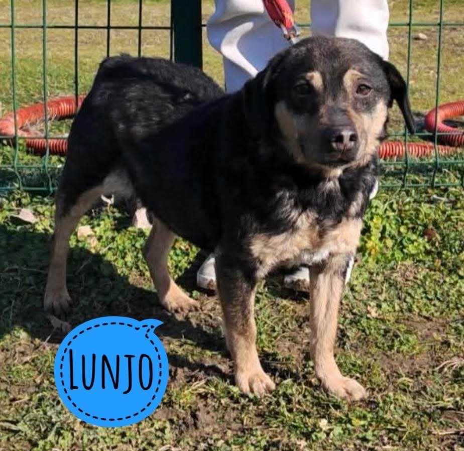 LUNJO